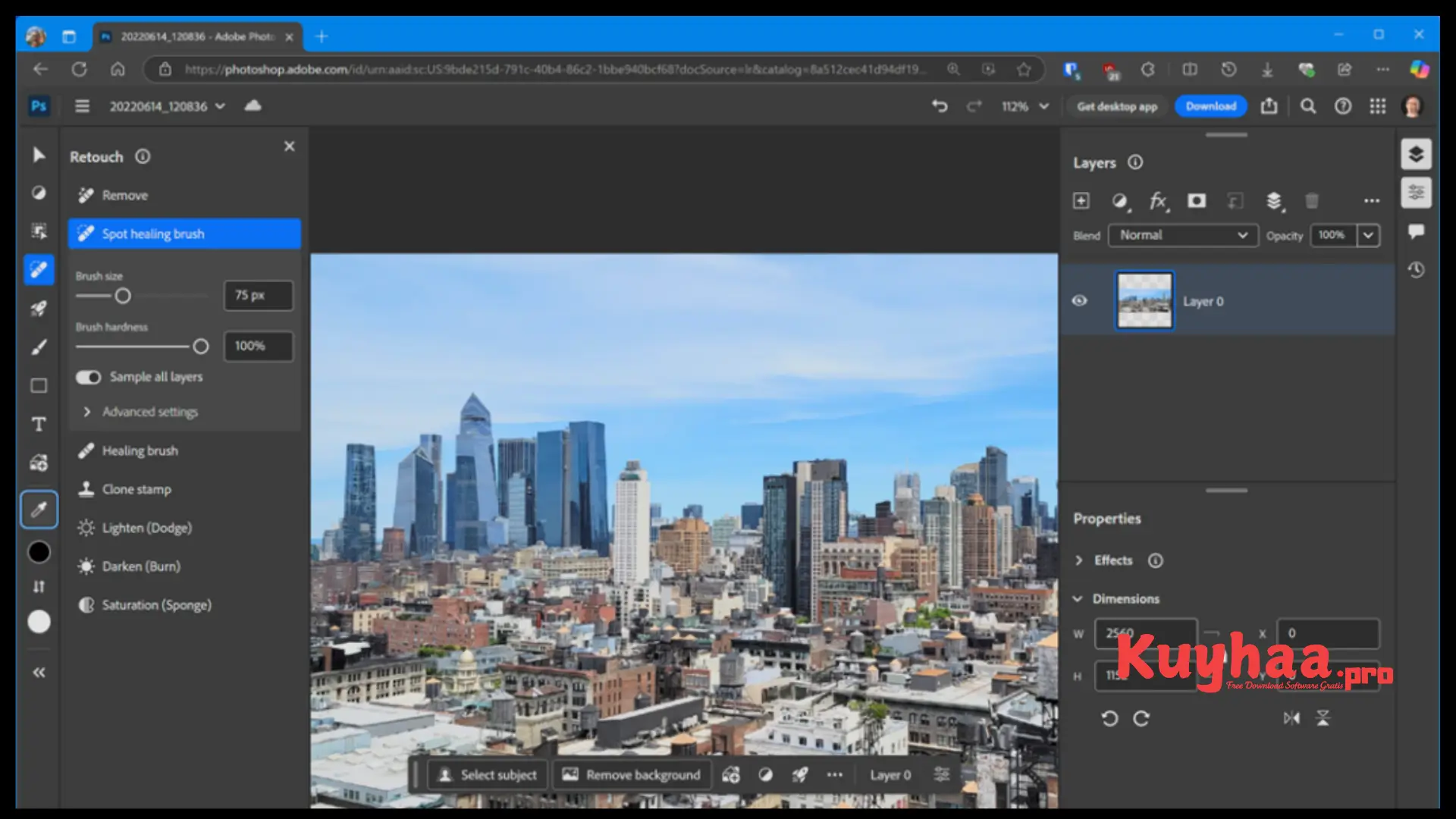 Adobe Photoshop 2025 Full