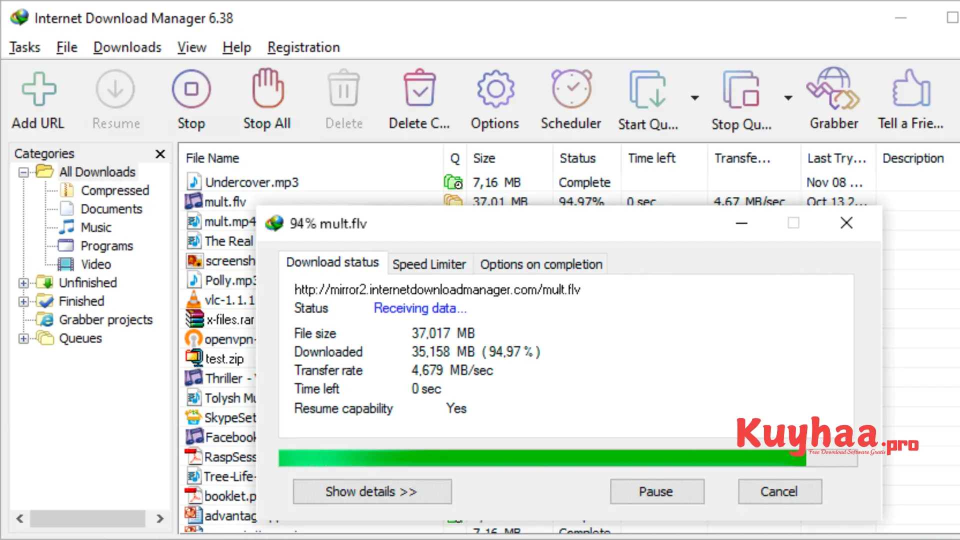 Internet Download Manager