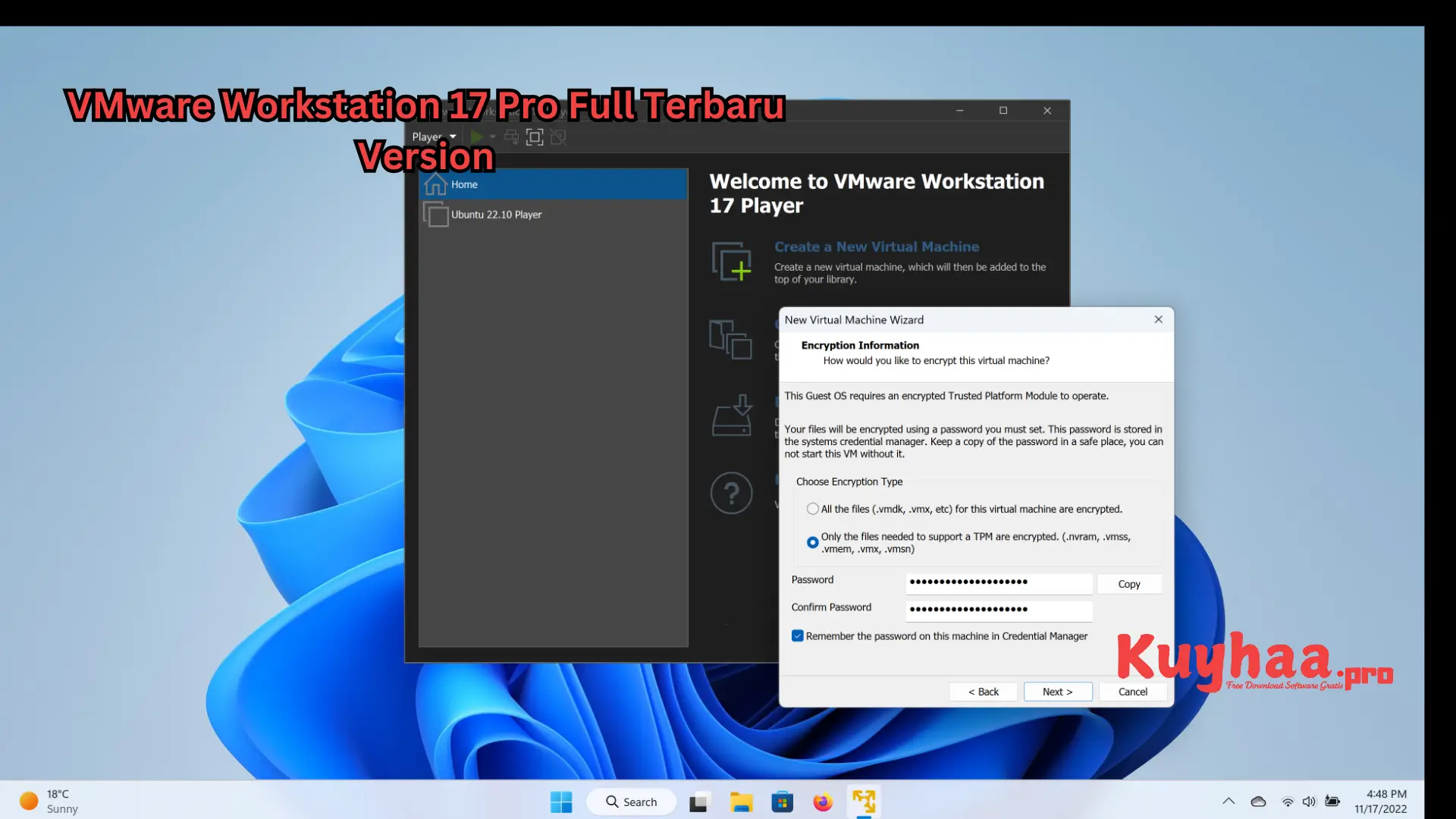 VMware Workstation 17 Pro