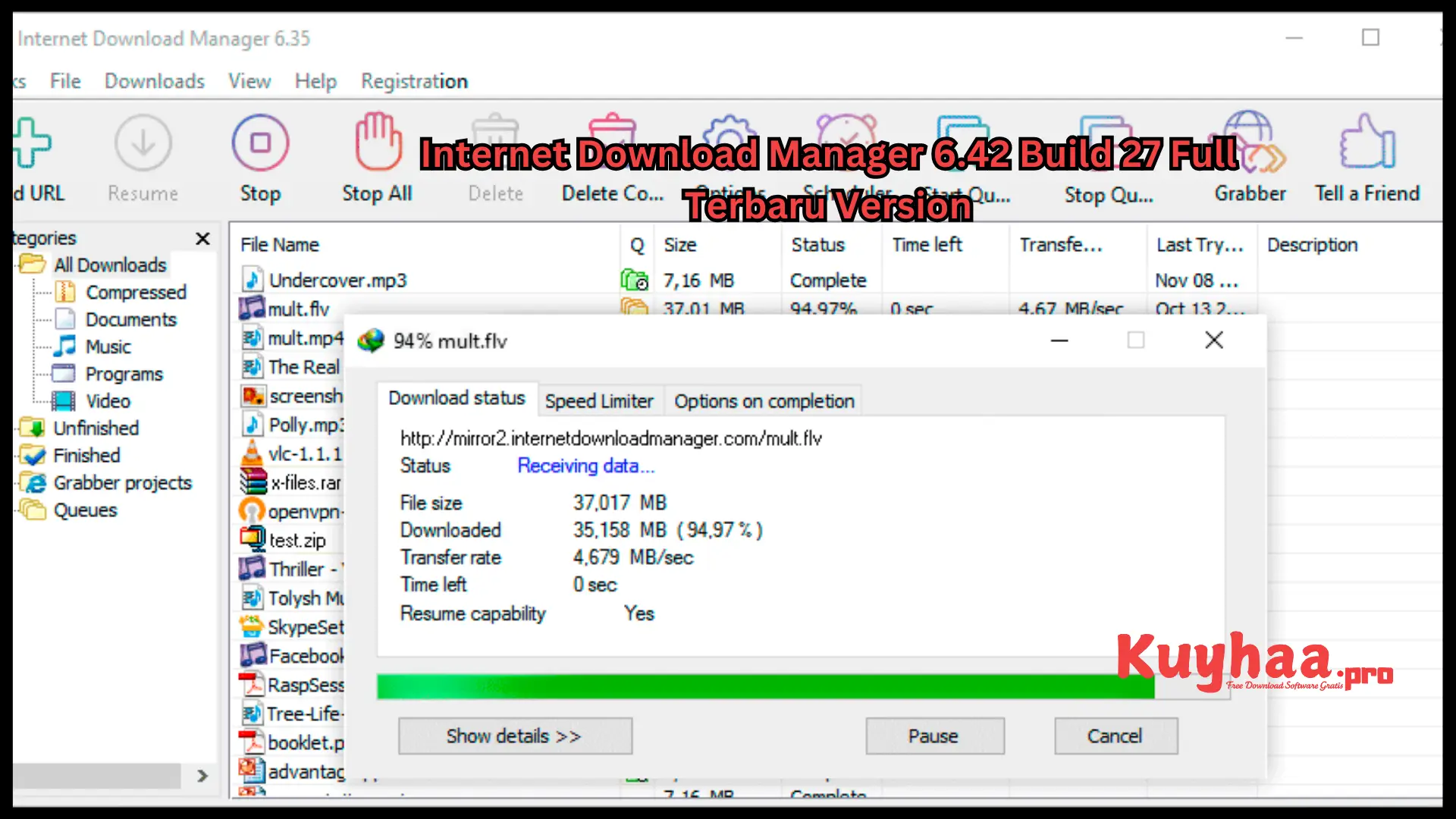 Internet Download Manager