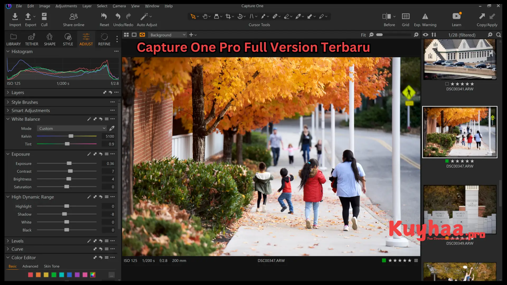 Capture One Pro