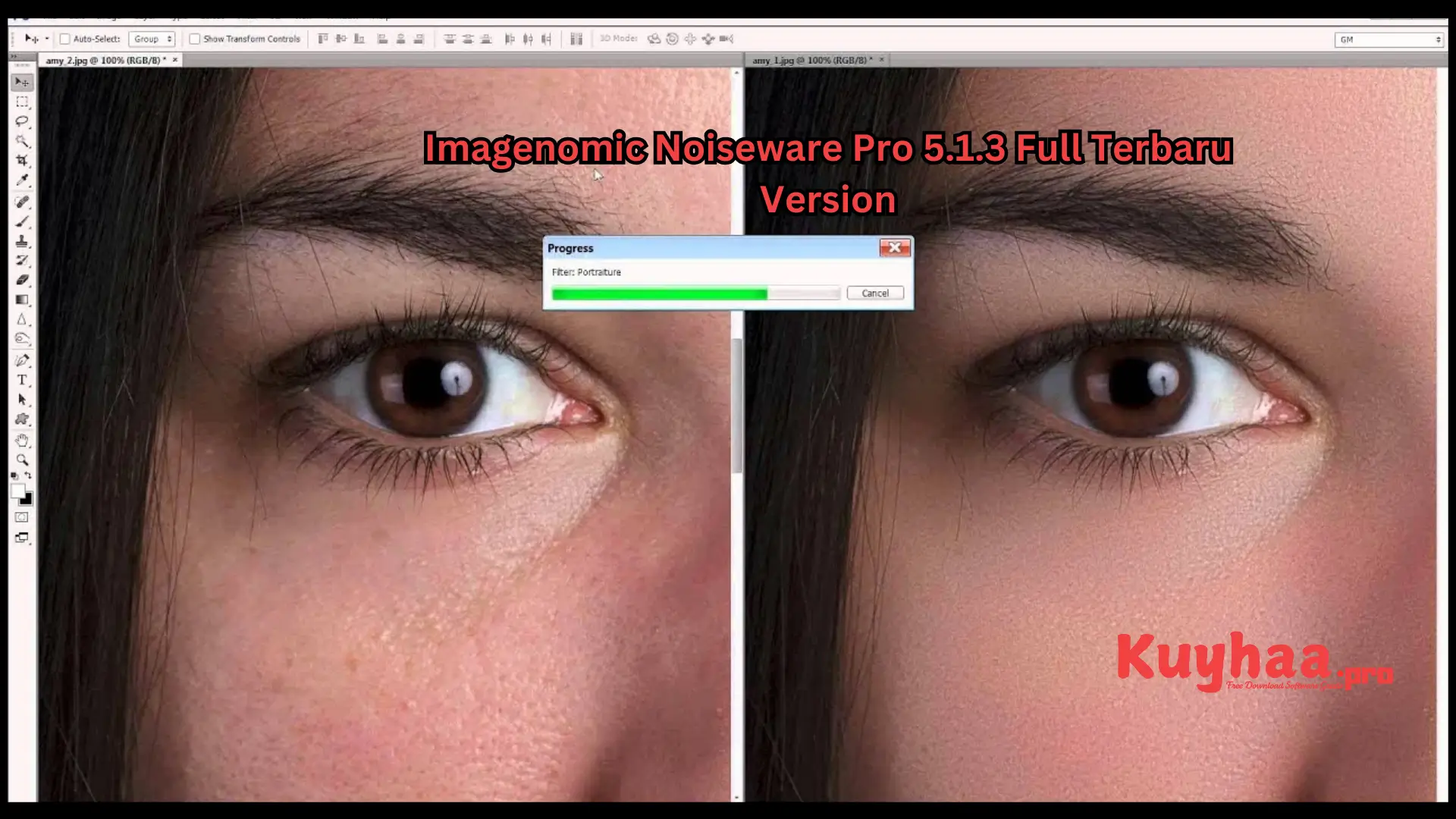 Imagenomic Noiseware Pro