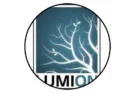 Lumion Pro 2025