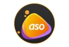 Download Advanced System Optimizer 2025