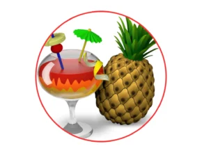 Download HandBrake 2025
