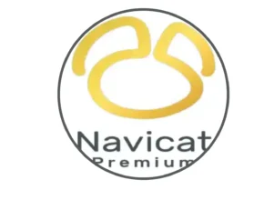 Navicat Premium 2025