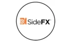 SideFX Houdini FX 2025