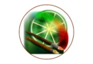 Download Paint Tool SAI 2