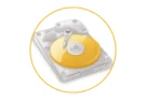 Download Hard Disk Sentinel Pro